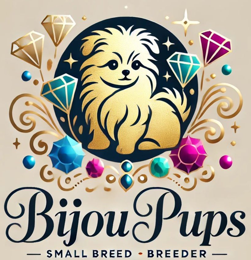 Bijou Pups